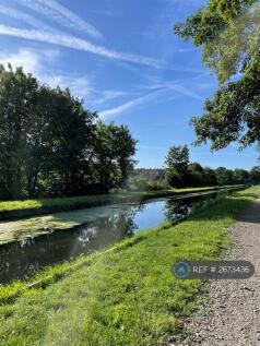 Near By Canal