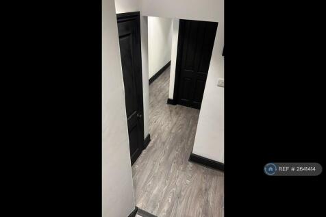 Lower Level Hallway (5 Steps In Flat)