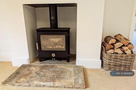 First Lounge Wood Burning Stove 