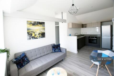 Living / Kitchen Area