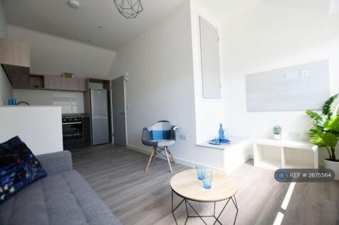 Living / Kitchen Area