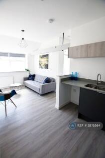 Kitchen / Living Area