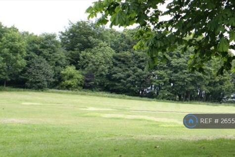 Alexandra Park For Dog Walking