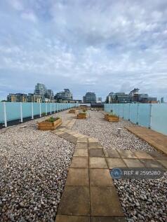 Communal Rooftop Terrace
