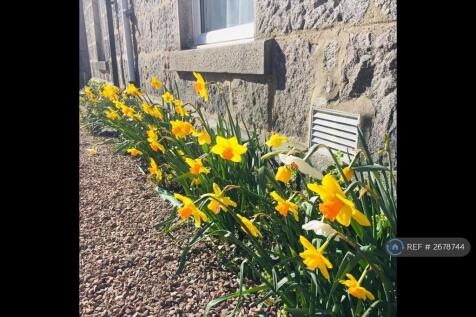 Front Garden In Spring