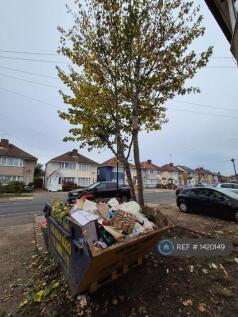 View Opposite Of The House