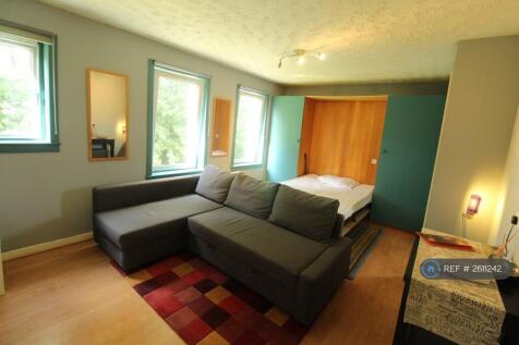 Living Room With Murphy Bed Open