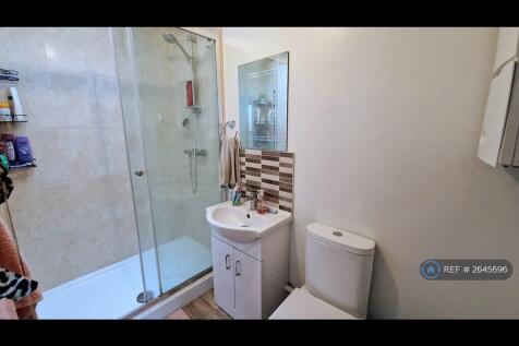 Downstairs Shower Room