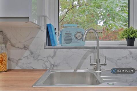 Kitchen Sink (Dishwasher Included)