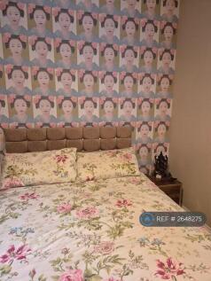 Kingsize Orthopedic Bed