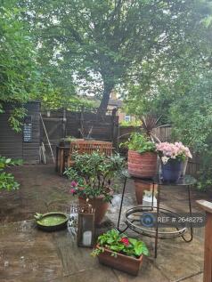 Peaceful Southfacing Garden, Perfect For Relaxing