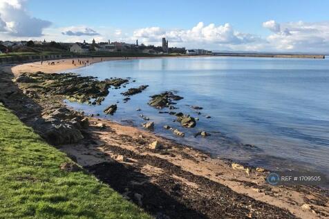 Near The Swimming Pool Looking Back 