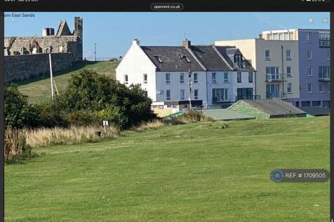 Healthy Looking Area