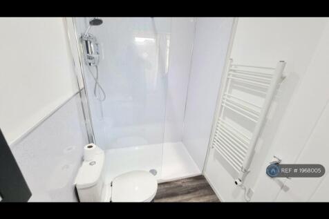Large Walk-In Shower