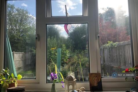 View From Kitchen Window