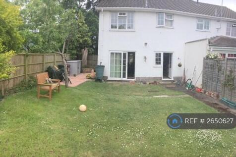 Back Garden