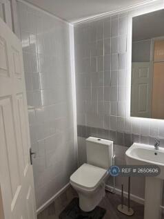 Bathroom With New Toilet And Sink