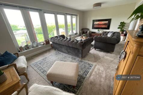 Furnished Lounge For Illustration Of Size