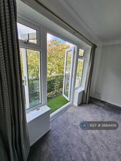 Living - Dining Room