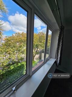 Living - Dining Room