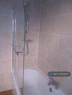 Main Bath Power Shower