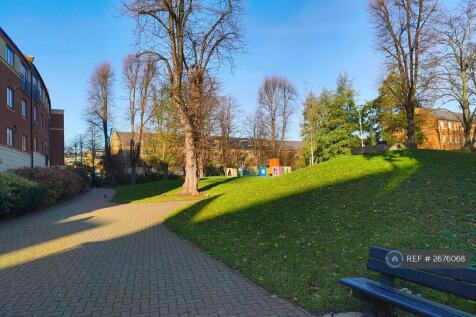 Local Park On The Street