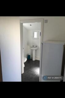 Downstairs Bathroom (3)