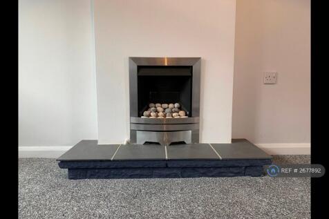 Gas Living Flame Fire