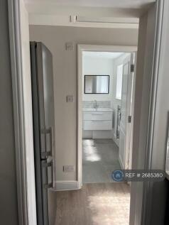 Bathroom (Downstairs)