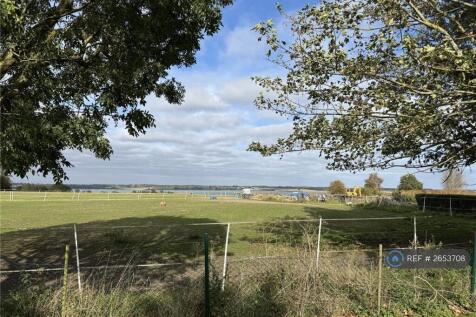 Uninterrupted Views / Horses Grazing