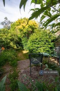 First Part Of Back Garden