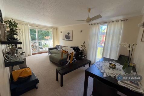 Ceiling Fan And Dining / Lounge Area