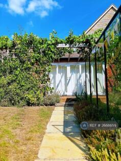 Lovely Path To The Studio