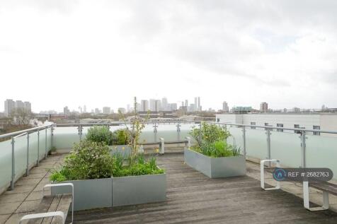 Communal Roof Garden