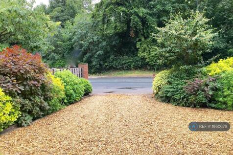 Internal Photos Summer 2021