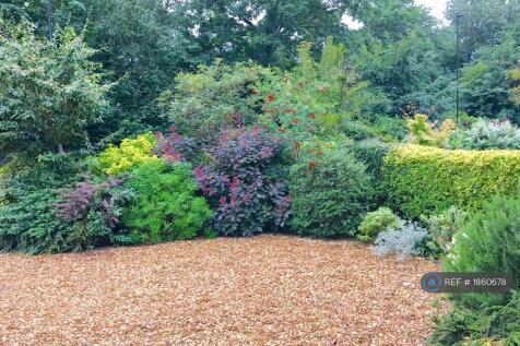 Front Garden Parking For 2 To 3 Cars