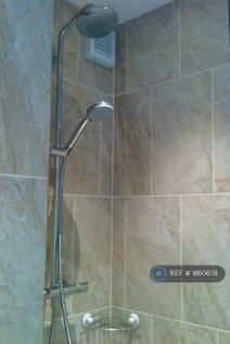 Downstairs Shower Room With Drencher Shower