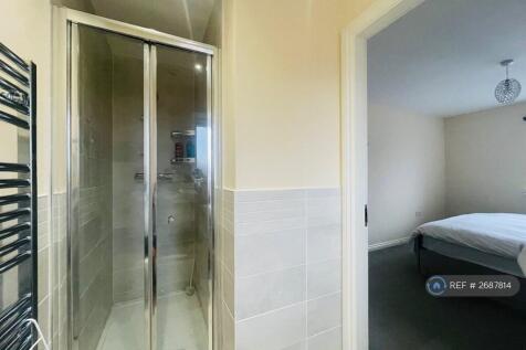 Your Walkin-Shower In The Room 