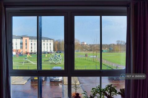 View From Living Room Windows