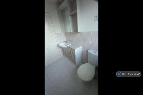 Toiled And Basin In Shower Room