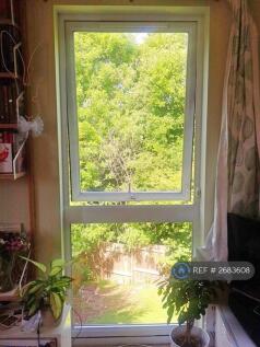 View From Living Room Window