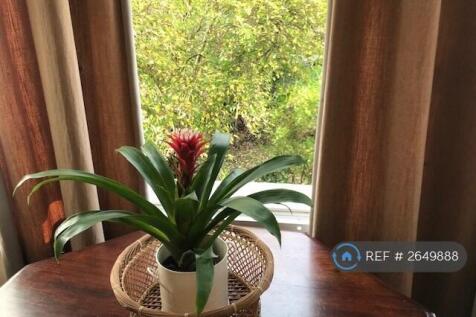 View Of Front Garden From Reception Room