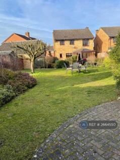 Rear View And Garden