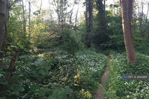 Tower Hamlets Cemetery Park