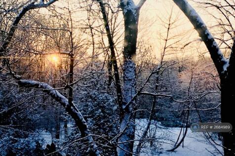View From The Bedroom When It Snows