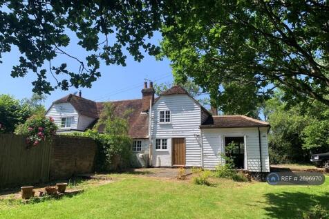 View From The Garden