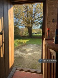 View From Kitchen Door