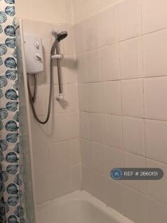 Electric Shower And Bath