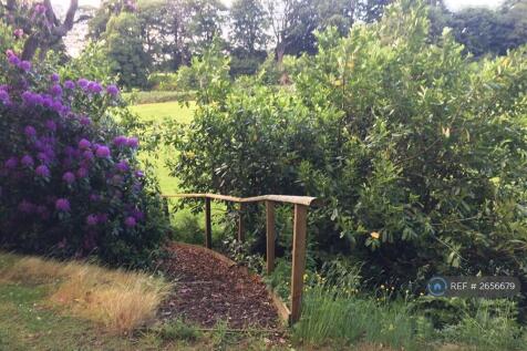 Spacious Grounds To Relax In