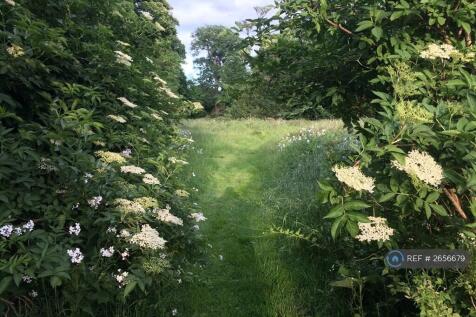 Grounds At Holme Eden